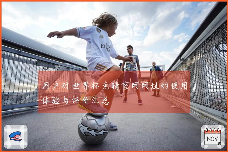 用户对世界杯竞猜官网网址的使用体验与评价汇总