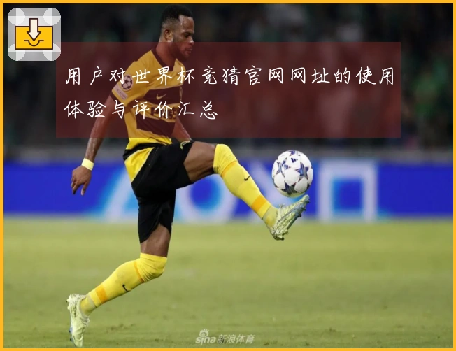 用户对世界杯竞猜官网网址的使用体验与评价汇总