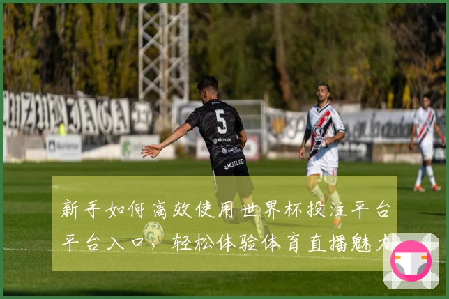 新手如何高效使用世界杯投注平台平台入口，轻松体验体育直播魅力