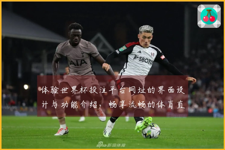 体验世界杯投注平台网址的界面设计与功能介绍，畅享流畅的体育直播体验