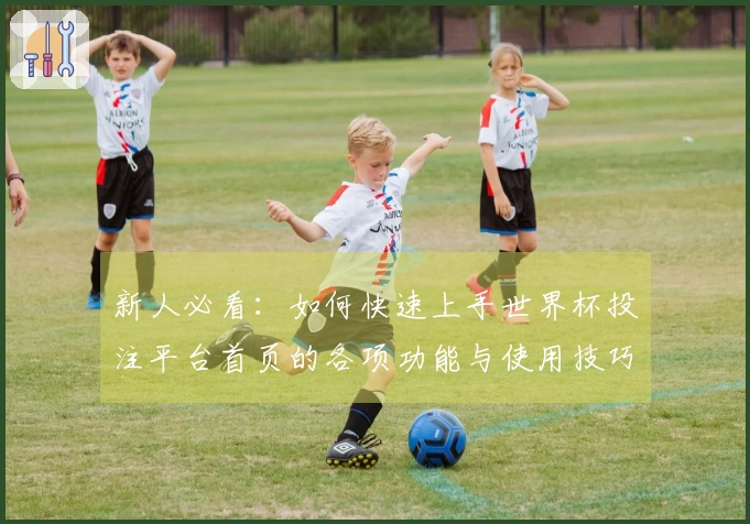 新人必看：如何快速上手世界杯投注平台首页的各项功能与使用技巧