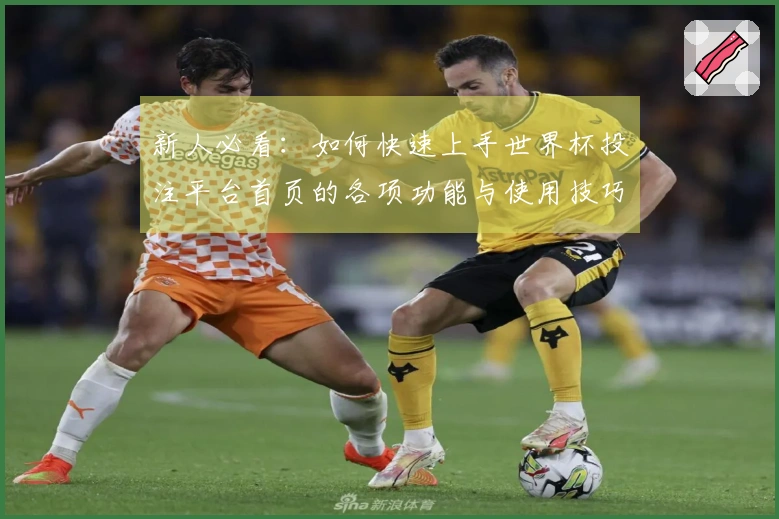 新人必看：如何快速上手世界杯投注平台首页的各项功能与使用技巧